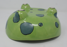 Load image into Gallery viewer, Green Amazingness