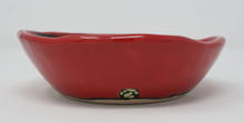 Load image into Gallery viewer, Stunning Red Bowl