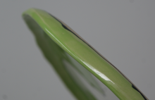 Load image into Gallery viewer, The Mighty White Horse Platter