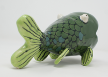 Load image into Gallery viewer, Gorgeous Ugly Green Fish