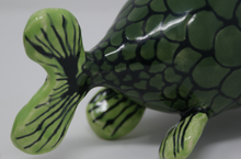 Załaduj obraz do przeglądarki galerii, The Greenest Ugly Fish