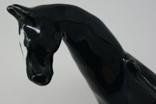 Load image into Gallery viewer, The amazing horse bowl