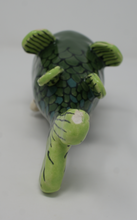 Load image into Gallery viewer, Gorgeous Ugly Green Fish