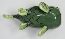 Załaduj obraz do przeglądarki galerii, The Greenest Ugly Fish