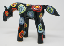 Load image into Gallery viewer, The Dark Amazingness