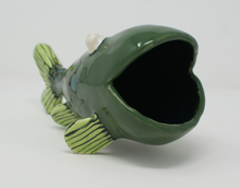 Load image into Gallery viewer, Gorgeous Ugly Green Fish