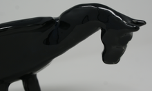 Load image into Gallery viewer, The amazing horse bowl