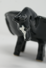 Load image into Gallery viewer, The amazing horse bowl