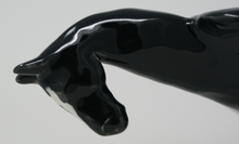 Load image into Gallery viewer, The amazing horse bowl