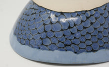 Load image into Gallery viewer, Ugly Drizard Bowl Medium