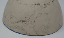 Załaduj obraz do przeglądarki galerii, Set of Five Gorgeous Colourful Beauties