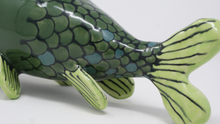 Load image into Gallery viewer, Gorgeous Ugly Green Fish
