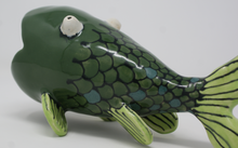 Load image into Gallery viewer, Gorgeous Ugly Green Fish
