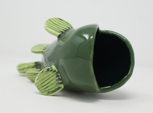 Load image into Gallery viewer, Gorgeous Ugly Green Fish
