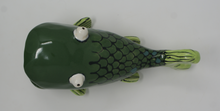 Load image into Gallery viewer, Gorgeous Ugly Green Fish
