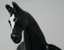 Load image into Gallery viewer, The amazing horse bowl
