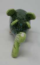 Load image into Gallery viewer, Gorgeous Ugly Green Fish
