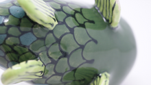 Load image into Gallery viewer, Gorgeous Ugly Green Fish
