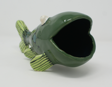 Load image into Gallery viewer, Gorgeous Ugly Green Fish
